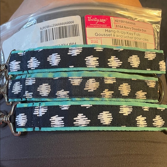 Thirty-one gifts 5-pc set: Lrg zipper pouch, cute case & (3) matching key fobs. - Picture 3 of 3